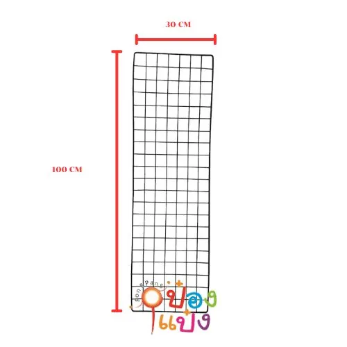 ตะแกรงชุบดำ 30x100 SC