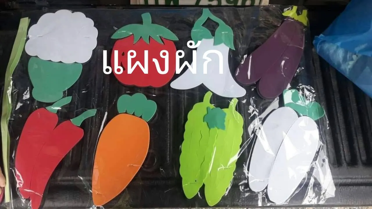 โฟมยาง แผงผัก ต่างๆ 1x8 (1*12)