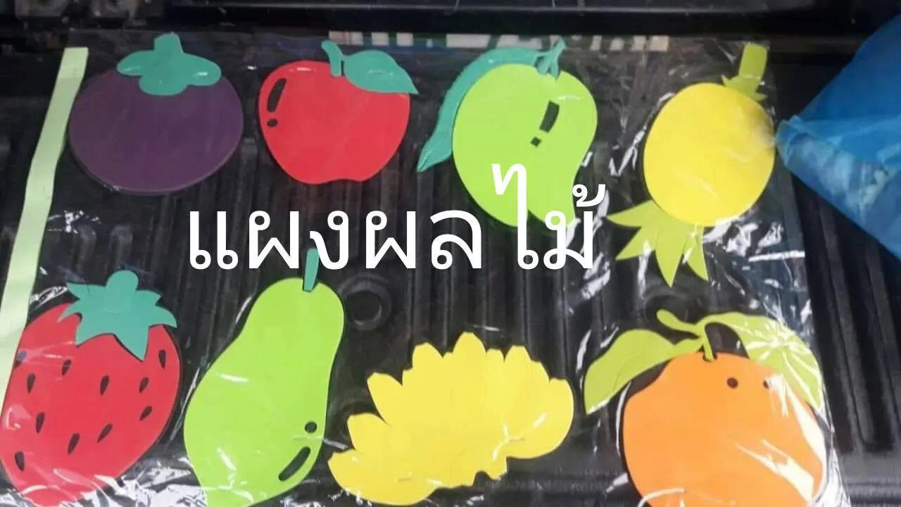โฟมยาง แผงผลไม้ ต่างๆ 1x8 (1*12)